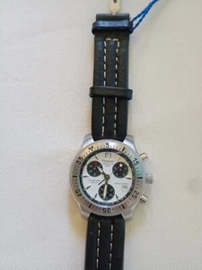 Philip Watch Aquatica 2000 - Foto 1 di 11