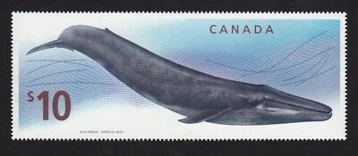 BLUE WHALE = SILKSCREEN & ENGRAVING = LARGEST CP stamp Canada 2010 #2405 MNH - Image 1 of 2