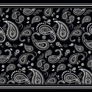 Scaldacollo Moto DMD Tube Bandana Cotone - Picture 1 of 2
