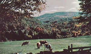 Escena pastoral en Chester, Vermont, Chester Inn --POSTAL - Imagen 1 de 2