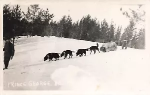 PRINCE GEORGE BC CANADÁ TRINEO PERROS VINTAGE FOTO REAL POSTAL RPPC 082224 T - Imagen 1 de 2