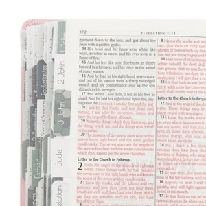 72 Piece Bible Tabs, Colorful Peel and Stick Book Indexing Tags (Gray) - Imagen 1 de 7