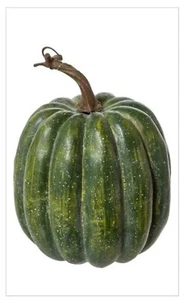 Grüner Kürbis Herbst Halloween Dekoration 7,5 Zoll x 9,3 Zoll - Bild 1 von 4