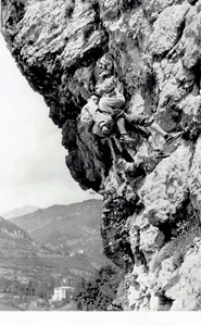 1954 Wire Photo Italian Alpine Club teams practice mountain rescues in the Alps - Picture 1 of 2