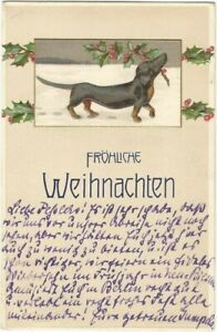 Weihnachten, Dackel, Hund, Dachshund, alte Litho-Ansichtskarte von 1908