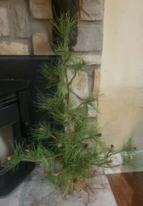 Primitive Farmhouse Rustic CHARLIE BROWN TREE Pine Burlap 36" Pinecones READ!!! - Picture 1 of 14