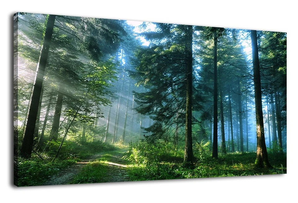 Canvas Wall Art Prints Nature Painting Modern Large Panoramic Artwork Pictures