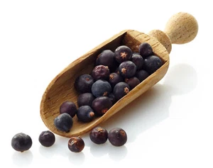 (21,95 EUR/kg) Wacholderbeeren, 3-fach gesiebt (1kg) - Bild 1 von 1