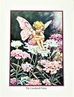 Vtg. Cicely Mary Barker Thinking Card 1991 "The Candytuft Fairy "4-3/4X 6 "