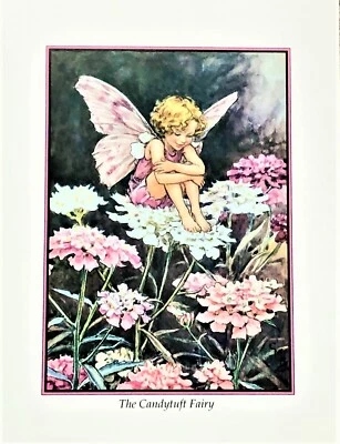 Vtg. Cicely Mary Barker Thinking card 1991 "The Candytuft Fairy "4-3/4x 6 " - Image 1 of 4
