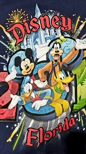 Mickey Mouse and friends 2015 Graphic T-Shirt  Large Disney World Florida  - Picture 1 of 3