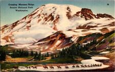 Postcard Horses Cross Mazama Ridge Mount Rainier National Park Washington L-218