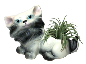 Vintage Cat Planter Persian White Gray Ceramic - Picture 1 of 9