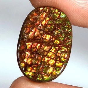 AMOLITA natural cabujón piedra preciosa suelta 14,25 Cts. (13 x 20 x 3 mm) forma ovalada - Imagen 1 de 8