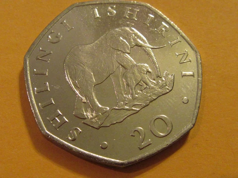 1992 Tanzania coin  shilling Elephant w Baby  unc Beauty  animal coin ebayship Cover