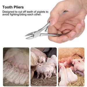 Alicates cortadores de dientes de lechón de acero inoxidable codo dientes de cerdo pinza ganado GU - Imagen 1 de 17
