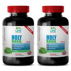 cholesterol clarity - HOLY BASIL 745MG 2B - holy basil bulk herb 