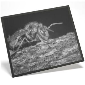 Placemat Mousemat 8x10 BW - Hornet Wasp Insect Sting Macro  #35323