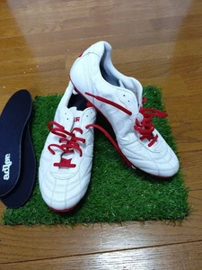 Adler Yatagara Custom - Picture 1 of 24