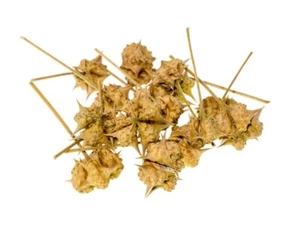 500 g de polvo de Gokshura (Tribulus terrestris) - Imagen 1 de 1