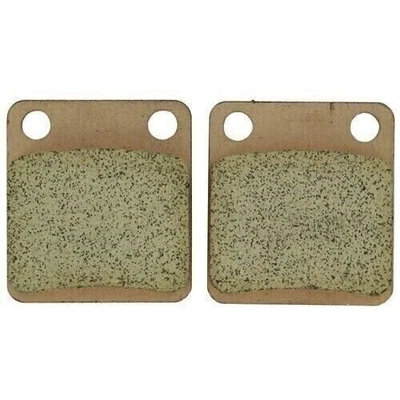 New Front Brake Pads Kawasaki KVF300 Prairie 300cc 1999 2000 2001 2002 — 第 1/4 张图片