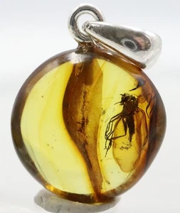 Amber Pendant With Insect, 925 | Baltic Amber with Fossil |Amber Inclusion - Picture 1 of 11