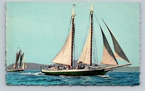 Windjammers Off Maine Coast Schooners Mattie & Mercantile Postcard - Picture 1 of 2