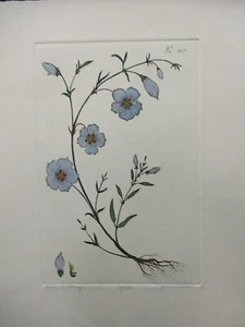 "Mitra, Dan - ""Buttercup azul" - Imagen 1 de 3