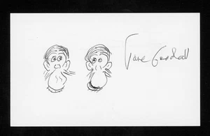 Jane Goodall DECEDUTO primatologo/antropologo firmato 3x5 SKETCH CARD E28477 - Foto 1 di 1