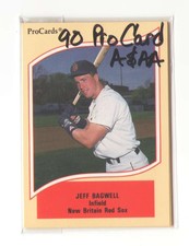 1990 ProCards A and AA BOSTON RED SOX Team Set
