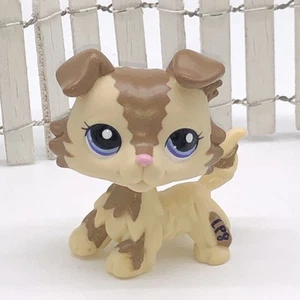 Littlest Pet Shop LPS #2210 Rare Collie Dog Authentic - Picture 1 of 6