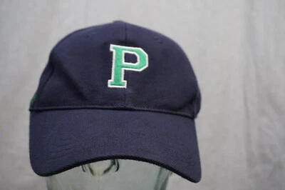 US POLO ASSOC Gorra de Béisbol Sombrero Azul Correa Papá Bordado Foto 1 de 4