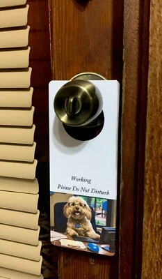 Lindo letrero de suspensión de puerta divertido para perro de trabajo borrado en seco en la oficina trasera Foto 1 de 3