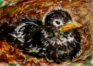 ORIGINAL ACEO American ROBIN BEBÉ PÁJARO NIDO PINTURA PRIMAVERA POLLITO NATURALEZA ARTE ATC - Imagen 1 de 1