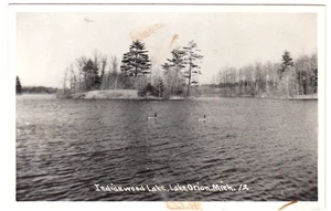 Lake Orion, Michigan ~ Indianwood Lake ~ Vintage Real Photo MI Postcard - Picture 1 of 2