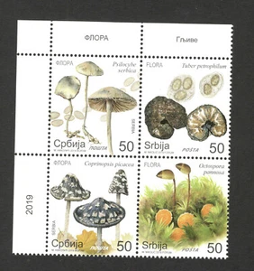 SERBIA-MNH-BLOQUE DE 4 SELLOS-FLORA-SETAS - 2019. - Imagen 1 de 2