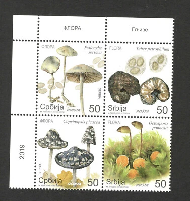 SERBIA-MNH-BLOCK OF 4 STAMPS-FLORA-MUSHROOMS - 2019. - Image 1 of 2