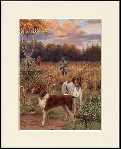 PUNTERO ALEMÁN DE PELO CORTO ESCENA DE TIRO IMPRESIÓN DE PERRO MONTADO LISTO PARA ENMARCAR #3 - Imagen 1 de 1