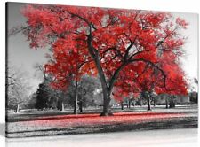 Large Tree Red Leaves Black White Nature Canvas Wall Art Picture Print
