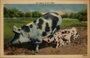 Postal de lino vintage Hot Means At All Times cerdo bebé cerdo - Imagen 1 de 2