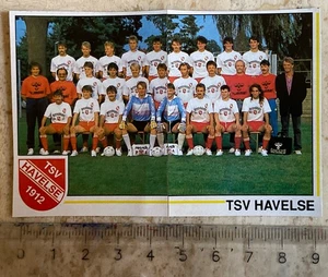 Mannschaftsfoto vom TSV Havelse 1912 - Bild 1 von 2