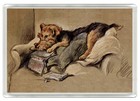 WELSH TERRIER DOG FRIDGE MAGNET GREAT GIFT