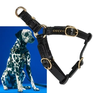 GUCCI PET HARNESS 695253 BLACK LEATHER w LOGO GOLD TONE HARDWARE sz L / LARGE - Picture 1 of 12