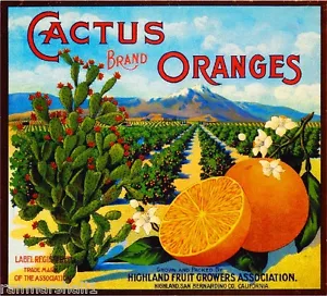 Highland Kaktus Orange Zitrus Obstkiste Etikett Kunstdruck - Bild 1 von 1