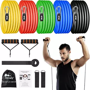 Resistance Bands Set, Workout Bands with Handles, Door Anchor, Ankle Straps and - Picture 1 of 12