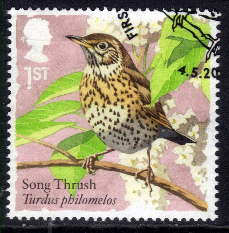 GB 2017 QE2 1st Songbirds Song Thrush Ex Fdc SG 3954 ( T980 ) - Image 1 of 1