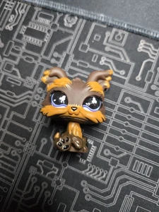 Littlest Pet Shop #509 Brown Yorkie Glass Clover Eyes Authentic - Picture 1 of 4