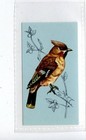 (Jd4179) TETLEY,BRITISH BIRDS,WAXWING,1970,#5