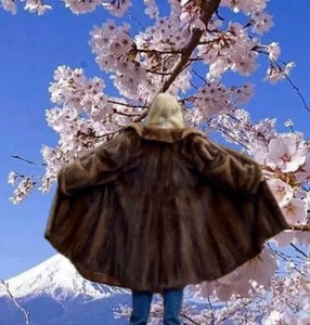 Plus Size Retro Mink Fur Stroller Coat 50”Bust 89”Sweep Nice Quality No Monogram - Picture 1 of 9