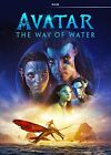 DVD THE KING'S AVATAR SEASON1+2 VOL.1-24 END +MOVIE + FREE GIFT+Track  Shipping